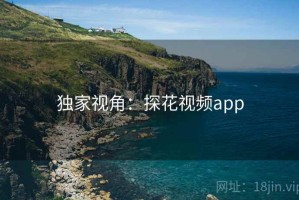 独家视角：探花视频app