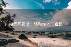 电鸽网页版｜移动端入口合集