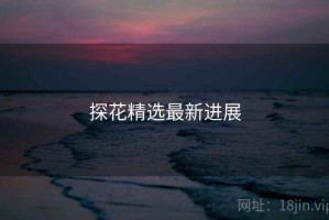 探花精选最新进展