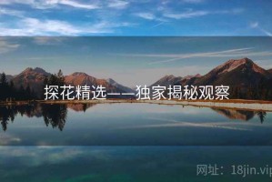 探花精选——独家揭秘观察