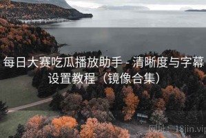 每日大赛吃瓜播放助手 - 清晰度与字幕设置教程（镜像合集）