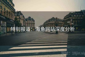 特别报道：海角网站深度分析