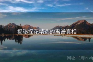 揭秘探花精选的离谱真相
