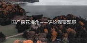 国产探花海角——评论观察观察