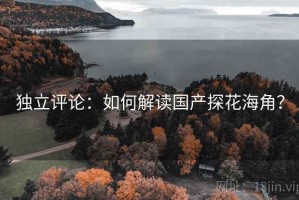 独立评论：如何解读国产探花海角？