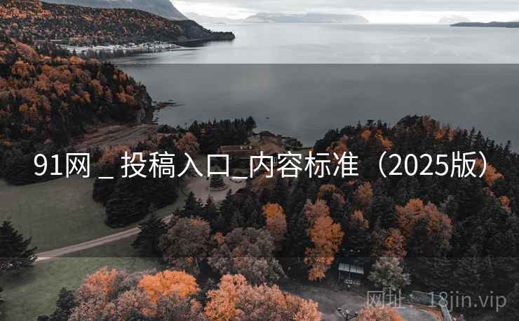 91网 _ 投稿入口_内容标准（2025版）