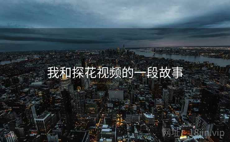 我和探花视频的一段故事