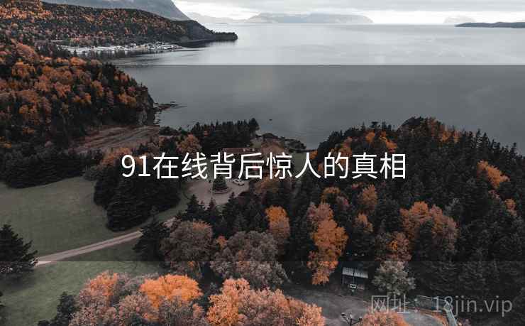 91在线背后惊人的真相