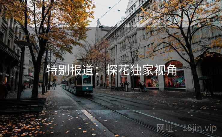 特别报道：探花独家视角