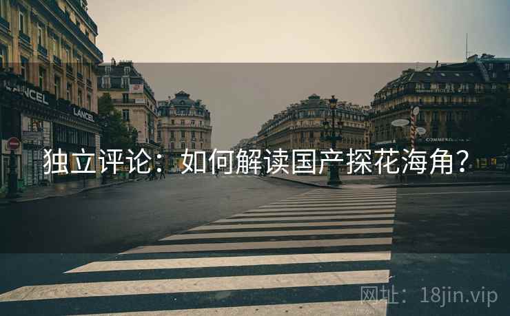 独立评论：如何解读国产探花海角？