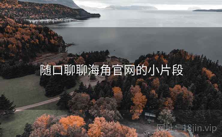 随口聊聊海角官网的小片段