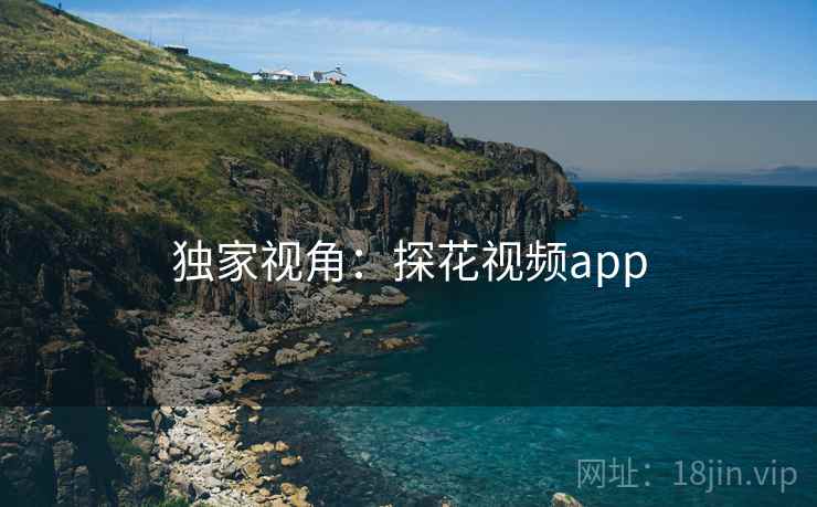 独家视角：探花视频app